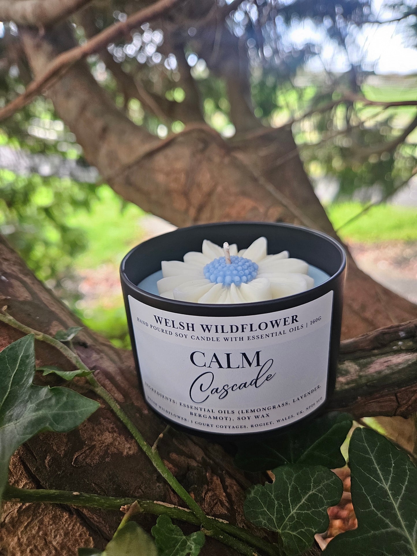 Calm Cascade - Essential Oil Candle