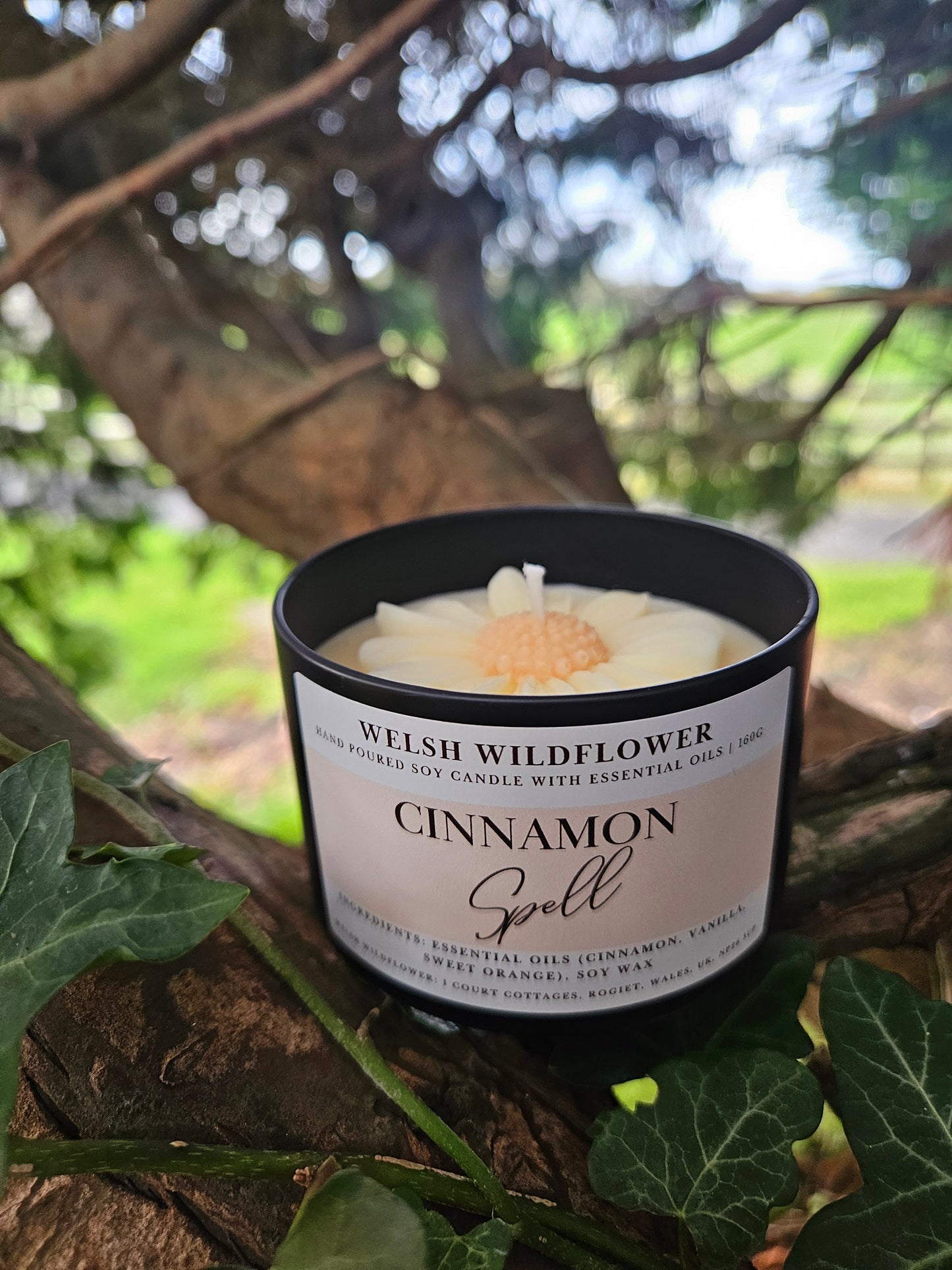 Cinnamon Spell - Essential Oil Candle