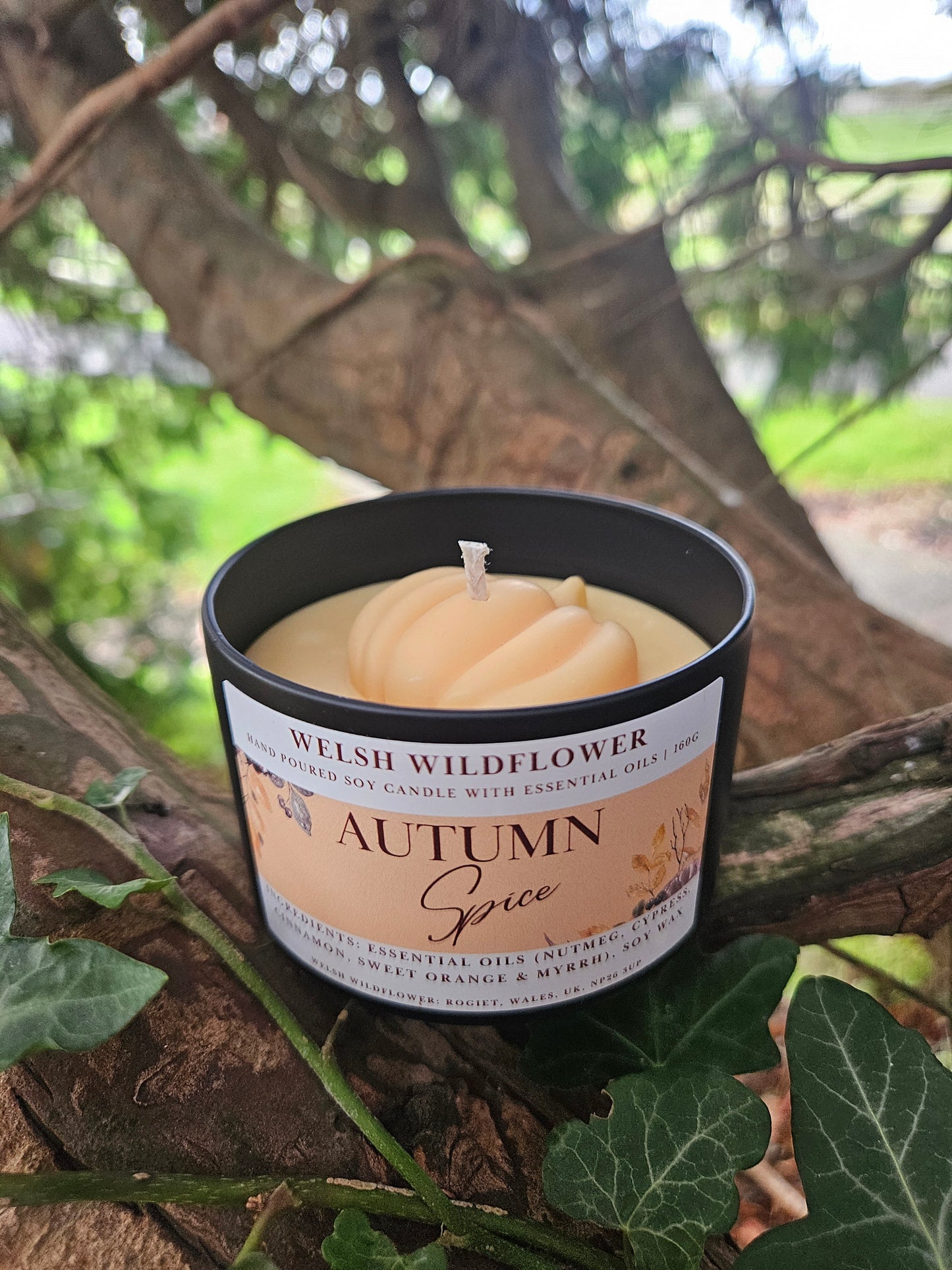 Autumn Spice - Essential Oil Candle