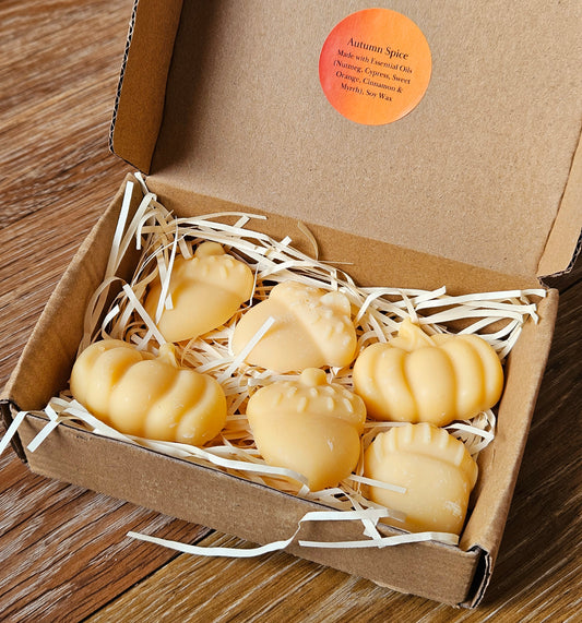 Autumn Spice - Wax Melt Box