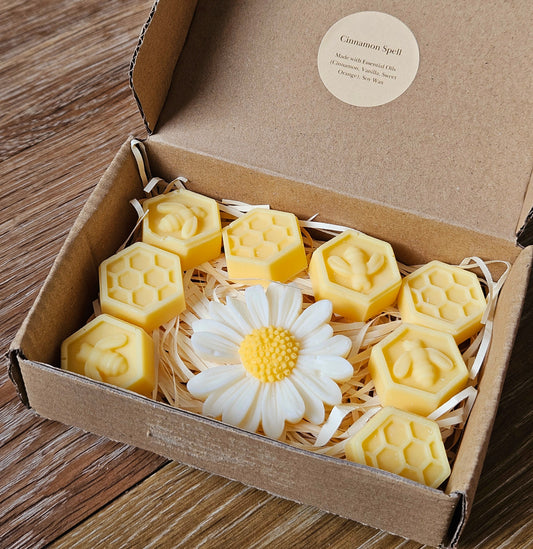 Cinnamon Spell - Wax Melt Box