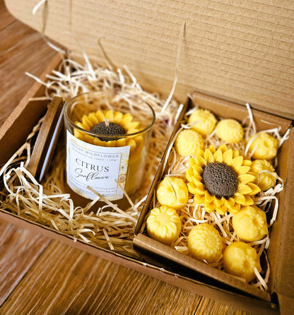 Candle & Wax Melt Set